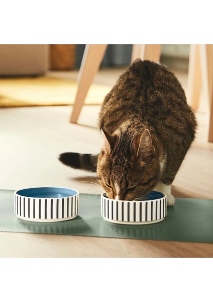 2 Adet Mama Kabı Çap: 11 cm Ikea 2'li Set Kedi Köpek Yemek Su Kabı Desenli Kap Stoneware