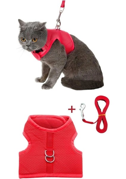 Yeni Nesil Nefes Alabilen File Tasma Kedi Göğüs Tasma 2'li Set Kırmızı