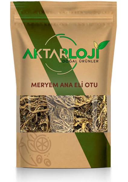 Meryem Ana Eli Otu 50 gr