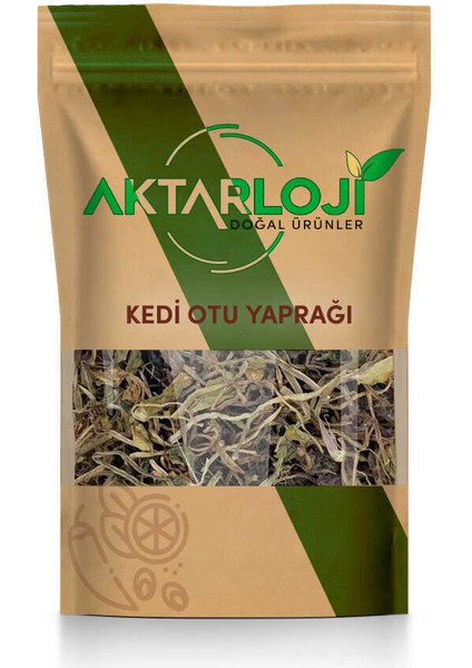 50 gr Kedi Otu Yaprağı
