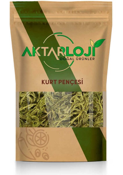 Kurt Pençesi Otu 25 gr