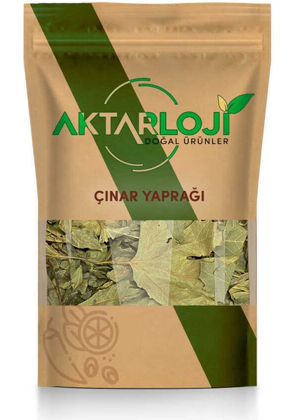 Çınar Yaprağı Otu 25 gr