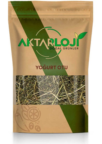 Yoğurt Otu 25 gr