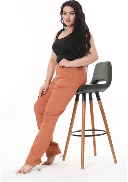 Kadın Büyük Beden Tarçın Yüksek Bel 5 Cepli Likralı Gabardin Pantolon 65N38731 indirimleri