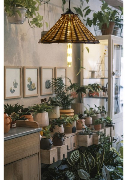 Bambu Aydınlatma Rattan Avize Raın