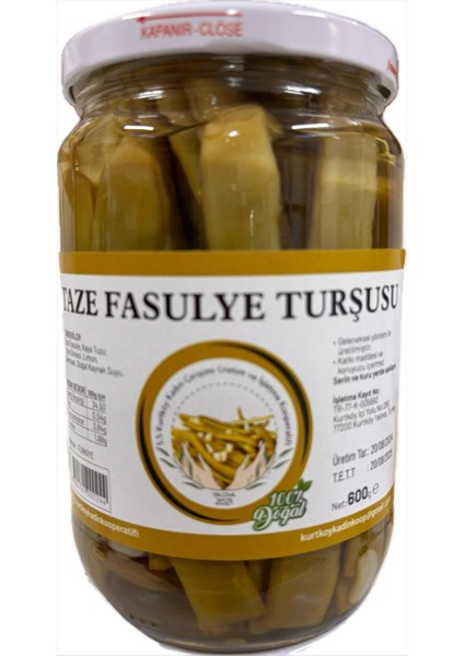 Taze Fasülye Turşusu