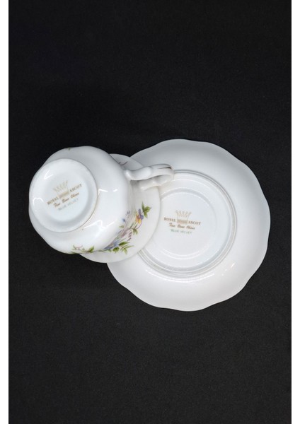 Royal Canterbury Royal Ascot Mavi Kadife Vintage Duble Kahve Fincanı 2 Parça 180 ml modelleri