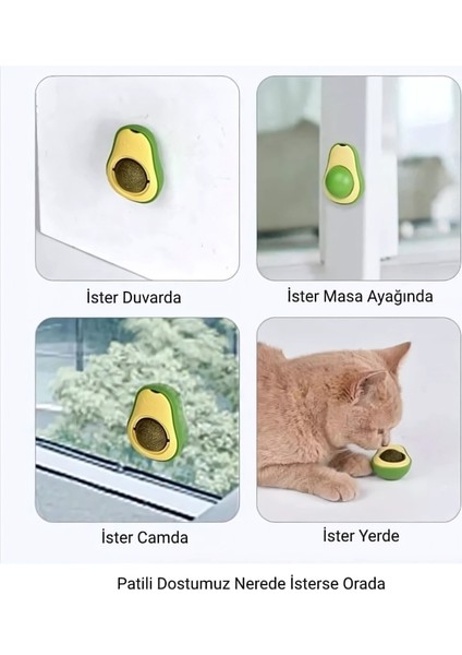 Avokado Kedi Nanesi Duvar Topu - Eğlenceli ve Sağlıklı Kedi Oyuncağı