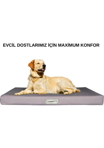 Pembe Kedi-Köpek-Yatak-Minder-Mat- Large