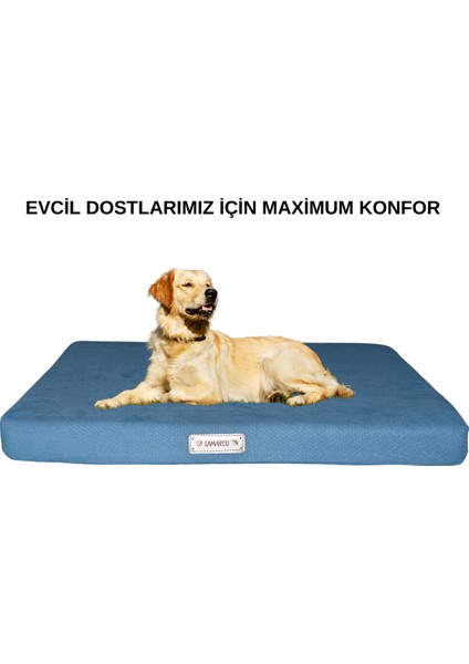 Mavi Kedi-Köpek-Yatak-Minder-Mat-Xl
