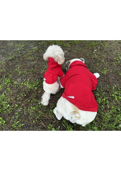 Sweety Sweatshirt