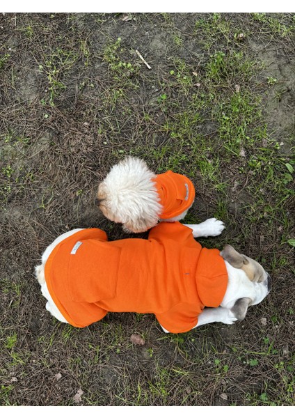Sweety Sweatshirt