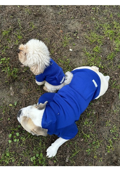 Sweety Sweatshirt