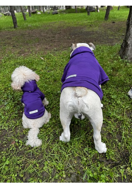 Sweety Sweatshirt
