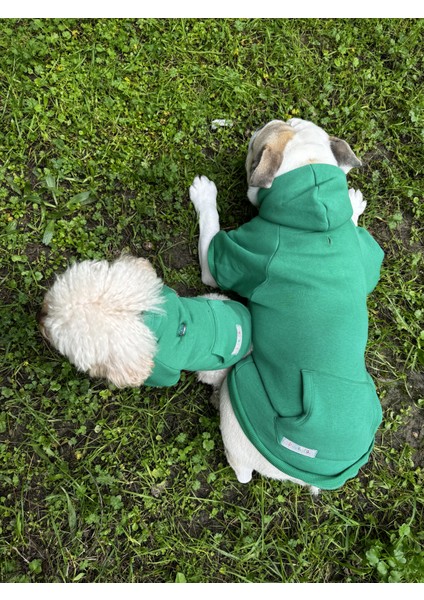 Sweety Sweatshirt