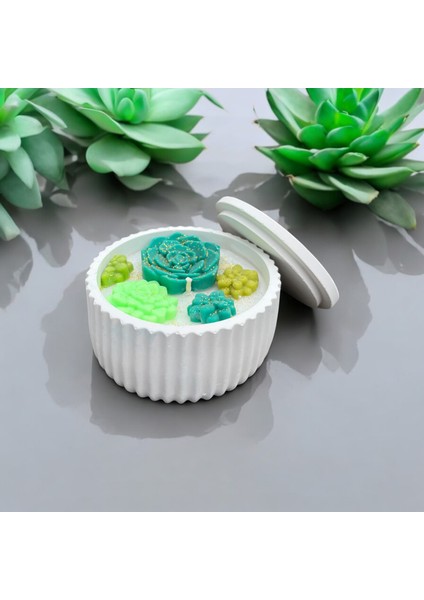 Doğal , Kokulu, Soya Wax Mum Dekoratif Kasede Hediyelik Sukulent Mum modelleri