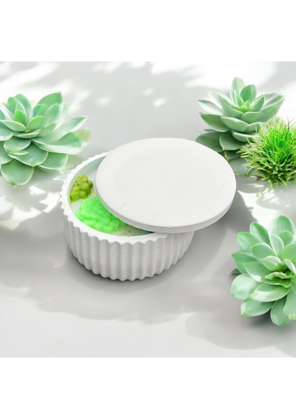 Doğal , Kokulu, Soya Wax Mum Dekoratif Kasede Hediyelik Sukulent Mum fırsatları
