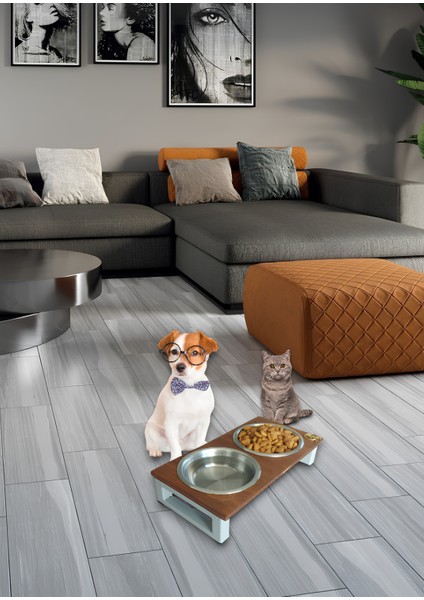 Kedi ve Köpekler Için Dayanıklı Mama ve Su Standı – Sağlıklı ve Şık Tasarım Okay Store indirimleri