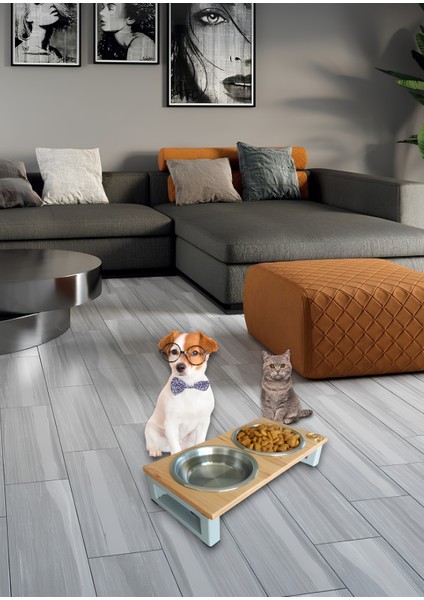 Kedi ve Köpekler Için Dayanıklı Mama ve Su Standı – Sağlıklı ve Şık Tasarım Okay Store indirimleri