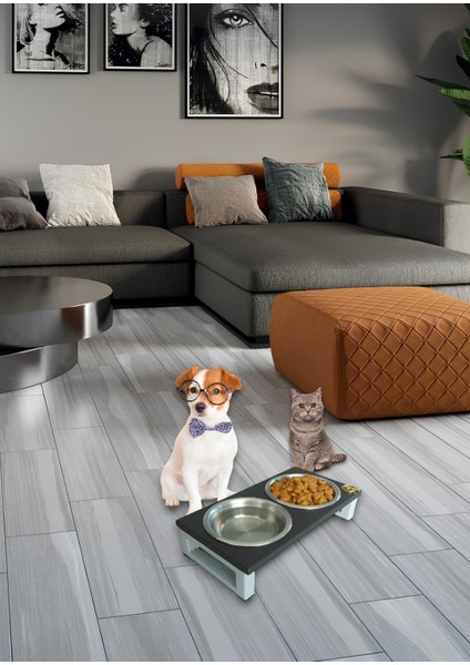 Kedi ve Köpekler Için Dayanıklı Mama ve Su Standı – Sağlıklı ve Şık Tasarım Okay Store indirimleri