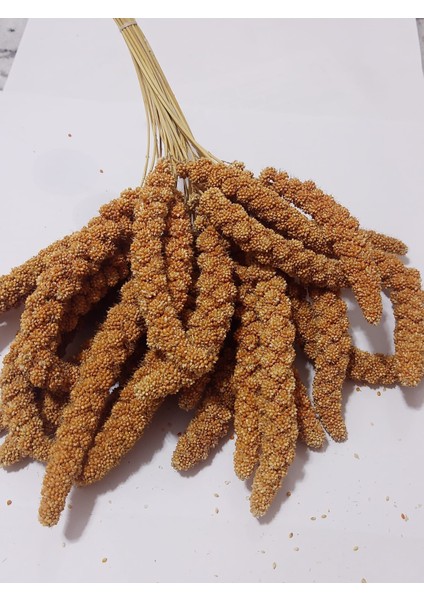 Kızıl Dal Darı Doğal 250 gr modelleri