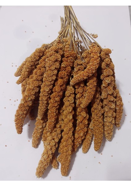 Kızıl Dal Darı Doğal 500 gr