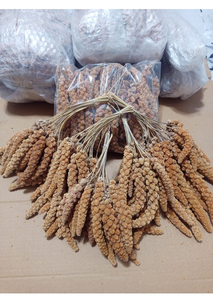 Kızıl Dal Darı Doğal 500 gr fırsatları