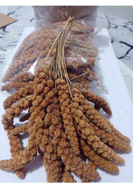 Kızıl Dal Darı Doğal 1000 gr fiyatları