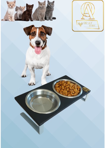 Kedi ve Köpekler Için Sağlıklı Yeme Standı, %10 Eğimli Tasarım ve Kaymaz Ayaklar