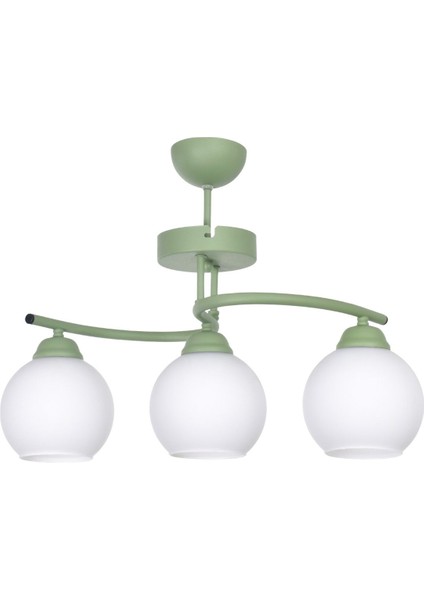 Fuji Modern Tasarım Antre Hol Mutfak Salon Çocuk Odası Yeşil Renk Beyaz Camlı 3 Lü Avize