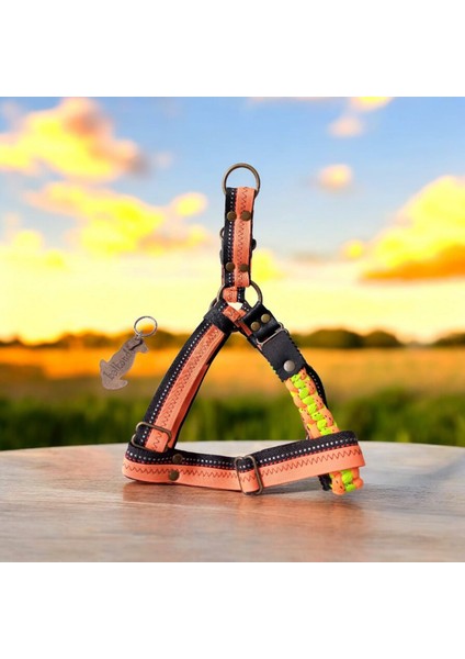 Köpek göğüs tasması küçük ırk yumuşak kolon göğüs ölçüsü:35-60cm ayarlamalı dog harness GT2-32 indirimleri