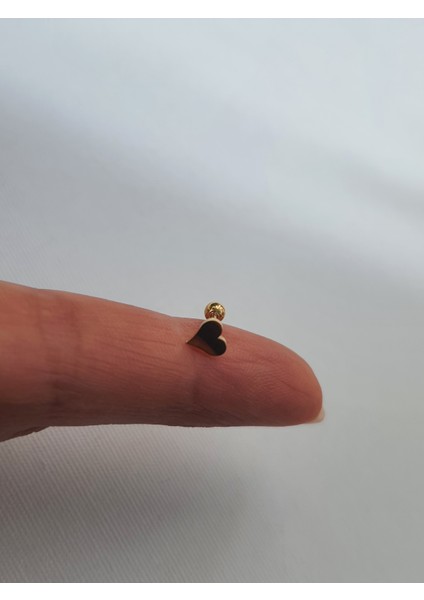 Kalp Desenli Tragus Helix Lobe Paslanmaz Çelik Piercing indirimleri
