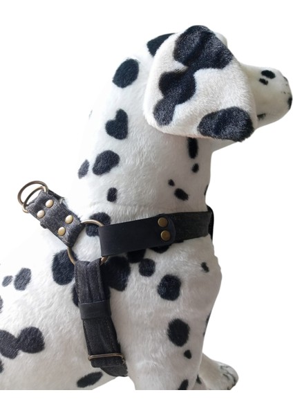 Köpek göğüs tasması küçük ırk kot paracort örgülü göğüs ölçüsü:30-60cm ayarlamalı dog harness GT2-35