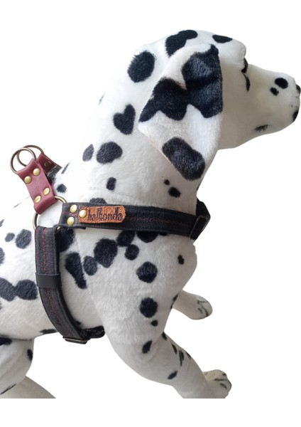 Köpek göğüs tasması kot orta ırk genişlik:2,5cm göğüs ölçüsü:45-80cm ayarlamalı dog harness GT2-36 fırsatları