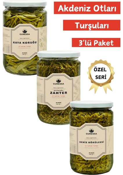 Akdeniz Otları Turşuları Deniz Börülcesi, Kaya Koruğu, Zeytinyağlı Zahter 780 Gr 3'lü Paketi