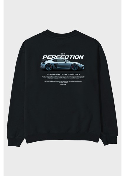 Thıs Is Perfectıon Arka Baskılı Anime Oversize Sweatshirt Erkek Kadın Unisex