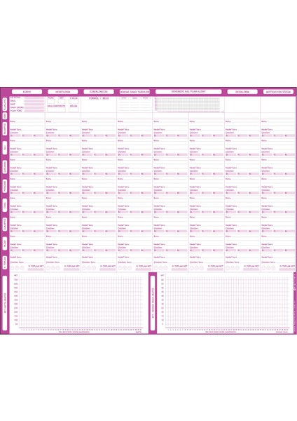 Statik Kağıt Yks Kpss Lgs Planlayıcı 100 cm x 120 cm 11