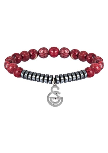 Galatasaray Hametit Logo Bleklik U90145