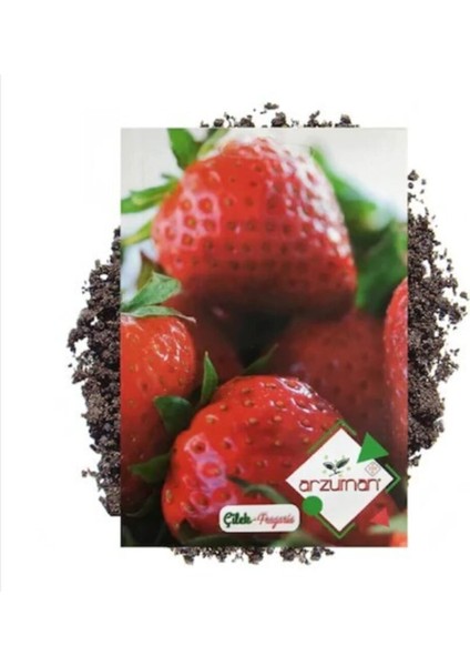 Çilek Tohumu( 100 Adet )