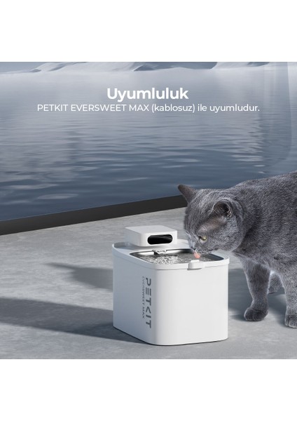 Eversweet Max Akıllı Su Pınarı Filtresi 5'li