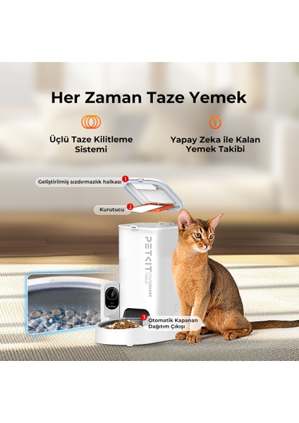Yumshare Solo Kameralı Akıllı Mama Kabı