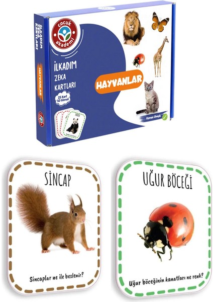 12-20 Ay Ekonomik Paket Özel Seri indirimleri