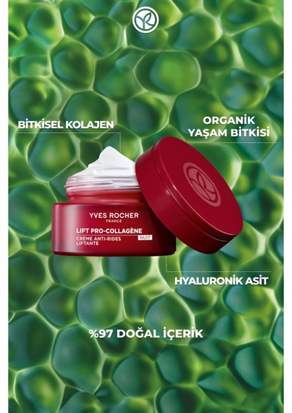 Gece Kremi-Sıkılaştırıcı,dolgunlaştırıcı Bitkisel Kolajen ve Hyaluronik Bakım/ Lift Pro COLLAGENE-48846 fırsatları