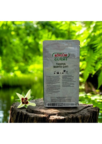 Bamya Tohumu Çayı Amasya 250 gr modelleri
