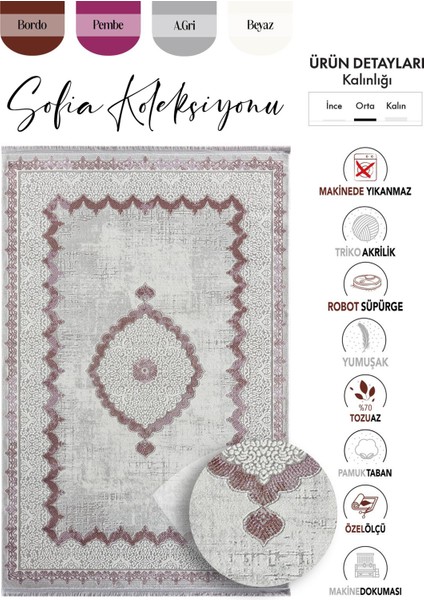 Sofia Gri Halı Lila Detaylı Kenar Çerçeveli Göbekli Modern ve Klasik Tasarım Salon Halısı