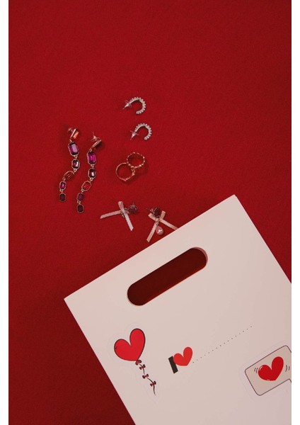 Kadın Kırmızı Taşlı Uzun Küpe E4034AXNS fırsatları