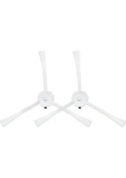 Explorer Serie 60 RG7447 Ana Yan Fırça Filtre Mop Için (Yurt Dışından)