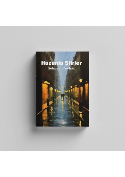 Hüzünlü Şiirler / Şebnem Ceyhan