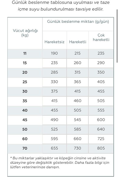 Senıor Large & Medıum Dog Food 12KG