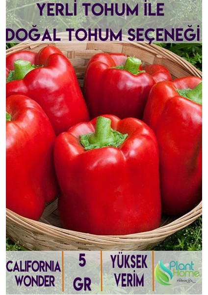 Biber California Wonder Tohumu lık Kırmızı Biber 5 gr